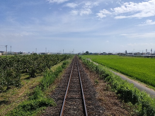 f:id:karikomo:20240527132732j:image f:id:karikomo:20240527132732j:image