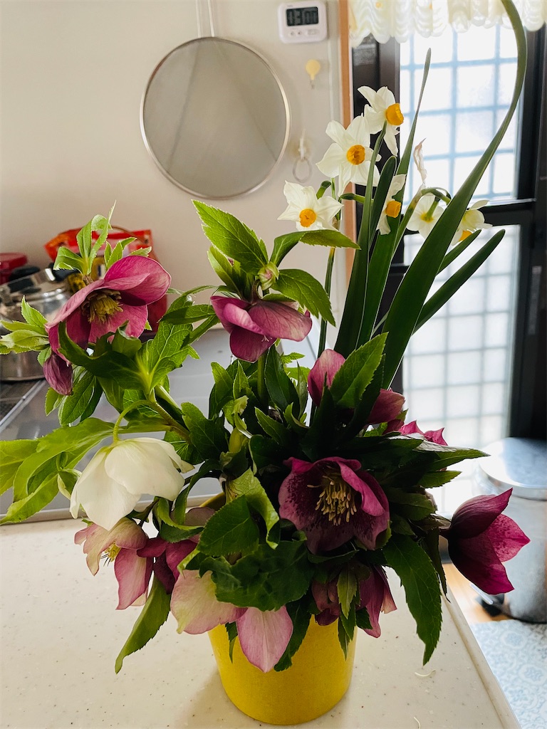 f:id:karimeroz:20220304155311j:image f:id:karimeroz:20220304155311j:image