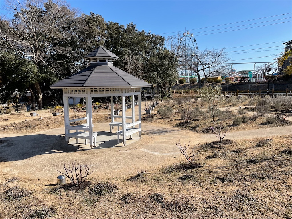 f:id:karimeroz:20220306161835j:image f:id:karimeroz:20220306161835j:image