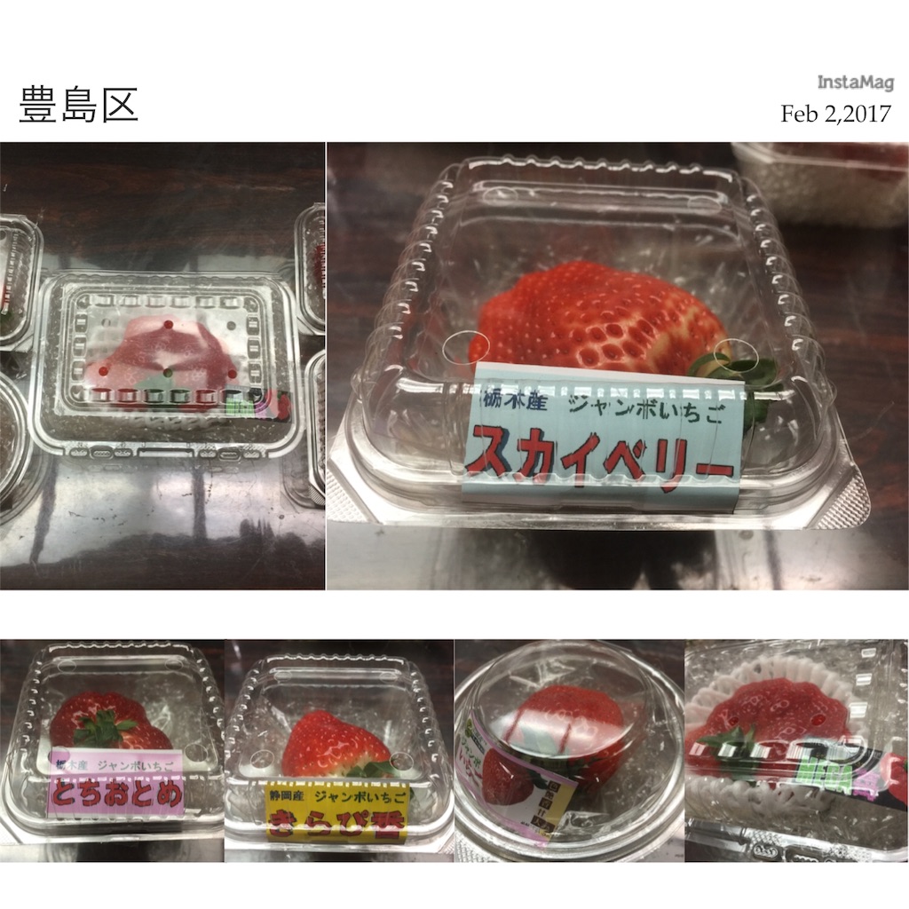 f:id:karin-matsugishi:20170202200205j:image f:id:karin-matsugishi:20170202200205j:image