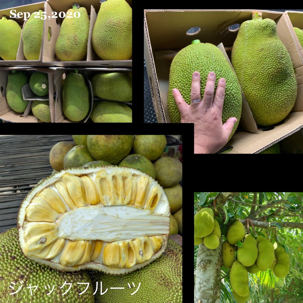 Karin Matsugishi S Blog Karin Matsugishi S Blog