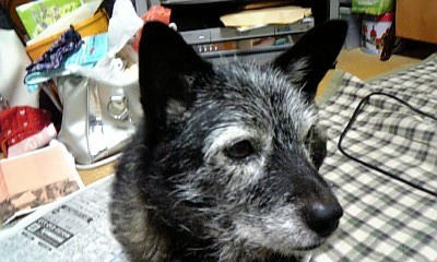 f:id:karin212:20090907213848j:image f:id:karin212:20090907213848j:image