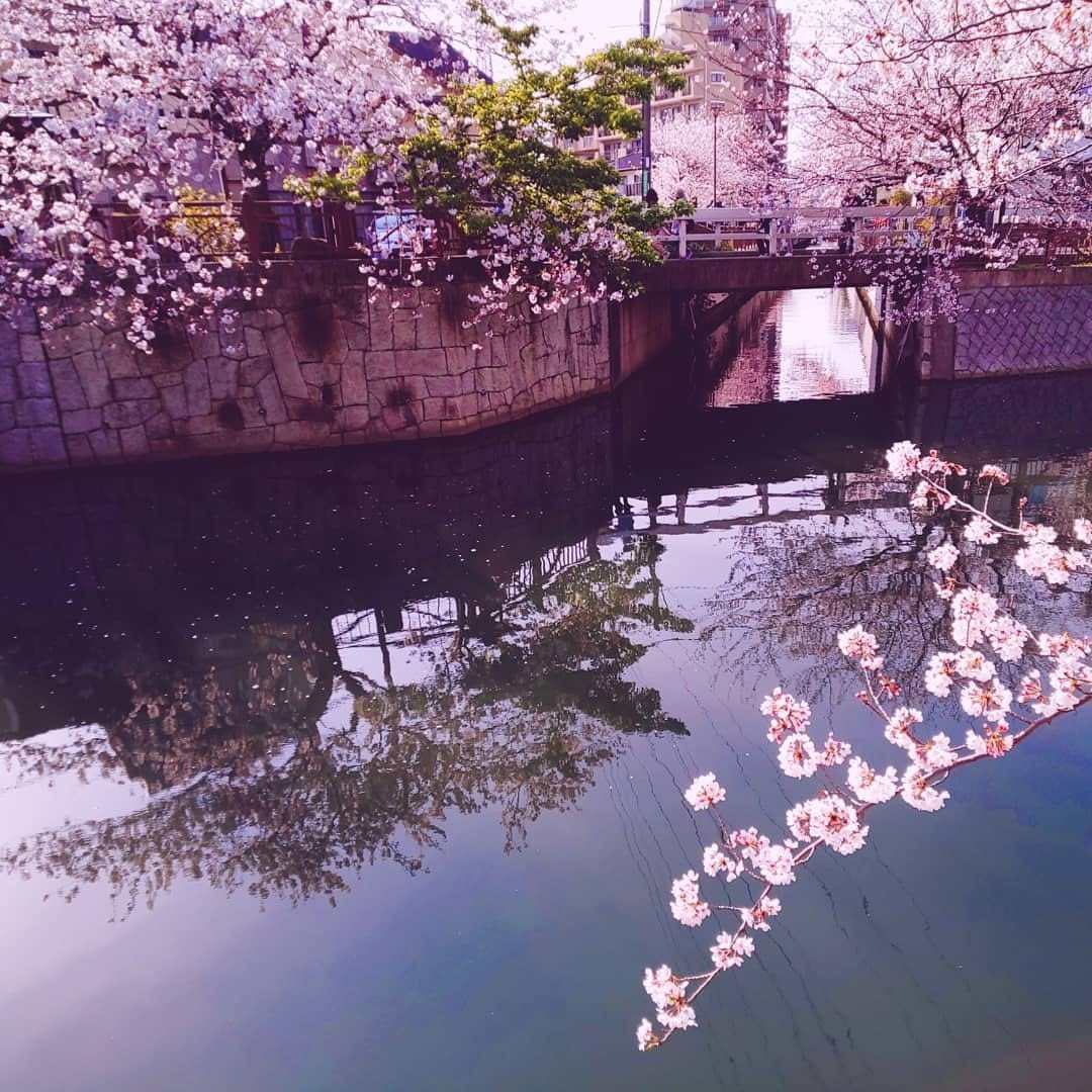 f:id:karinmatasumori:20210331202814j:plain