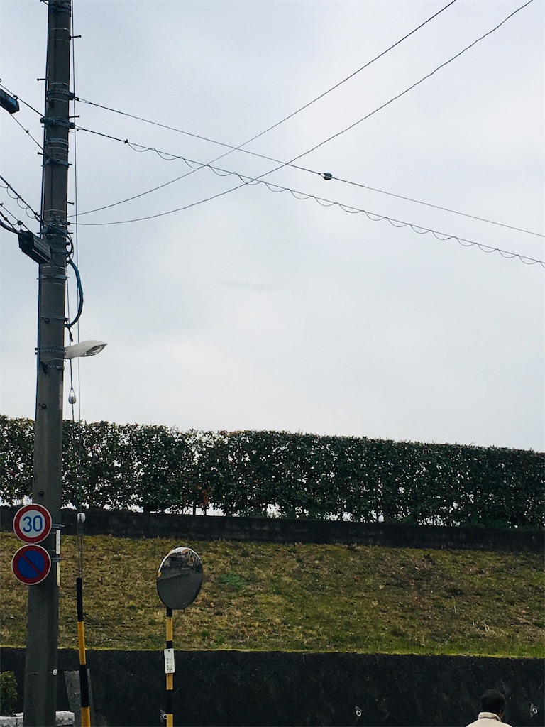 f:id:karinn888:20190323134611j:image f:id:karinn888:20190323134611j:image