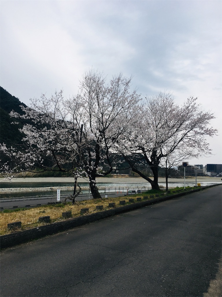 f:id:karinn888:20190323134617j:image f:id:karinn888:20190323134617j:image