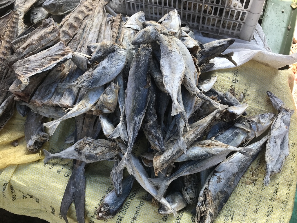 f:id:karinto-monster:20190119224426j:plain