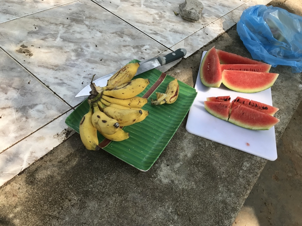 f:id:karinto-monster:20190217213956j:plain