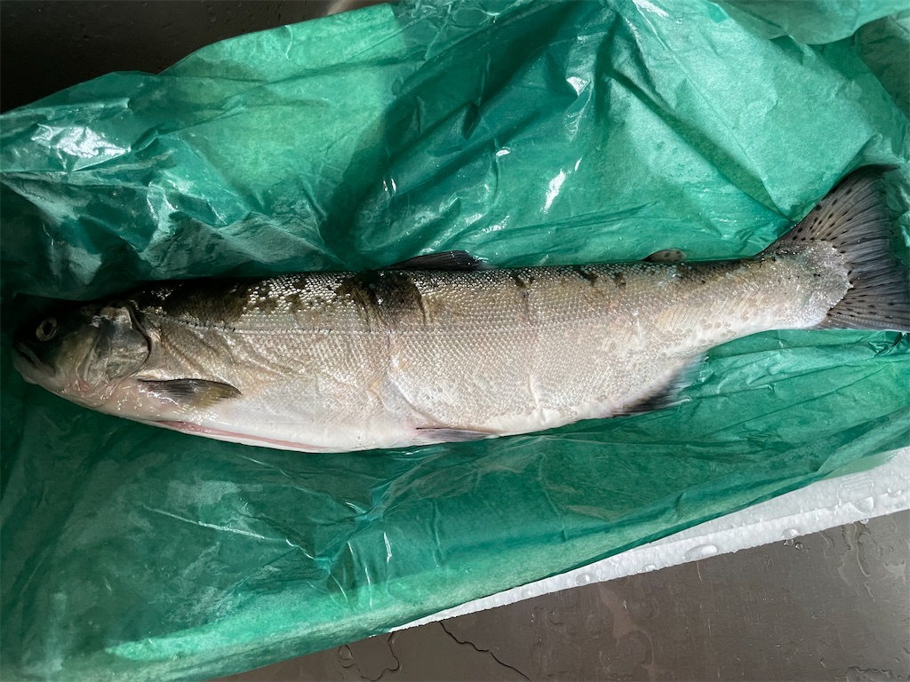 神経締めとは 食の人気 最新記事を集めました はてな