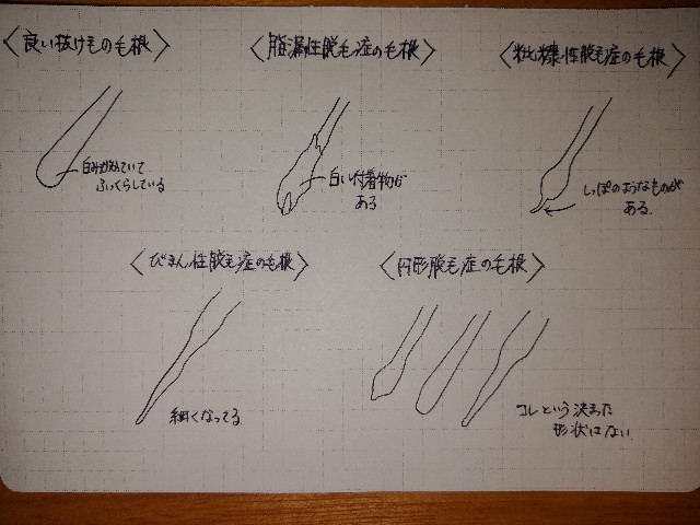 f:id:karisuman:20200322015341j:image f:id:karisuman:20200322015341j:image