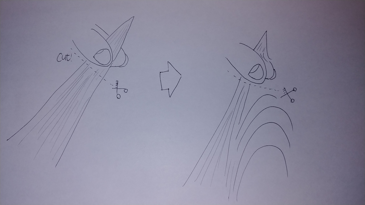 f:id:karisuman:20200414014852j:plain f:id:karisuman:20200414014852j:plain