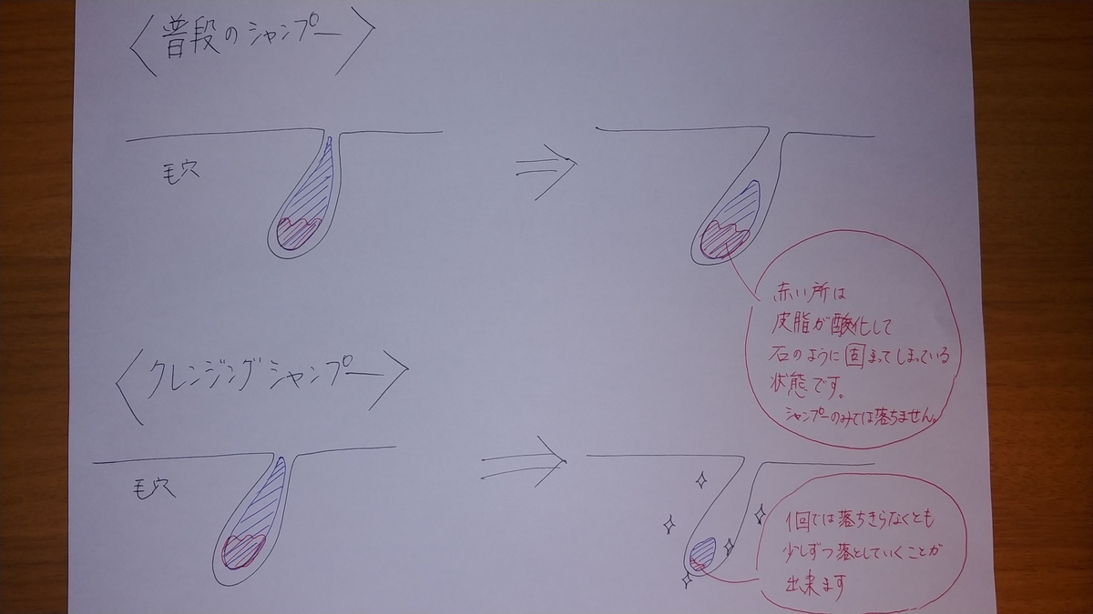 f:id:karisuman:20200514005811j:plain f:id:karisuman:20200514005811j:plain