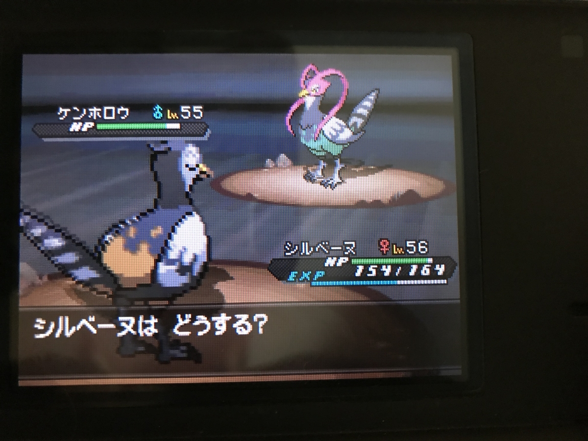Bw2の話 その24 愛の起源