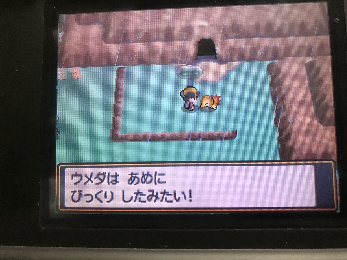 イトマルとは ゲームの人気 最新記事を集めました はてな