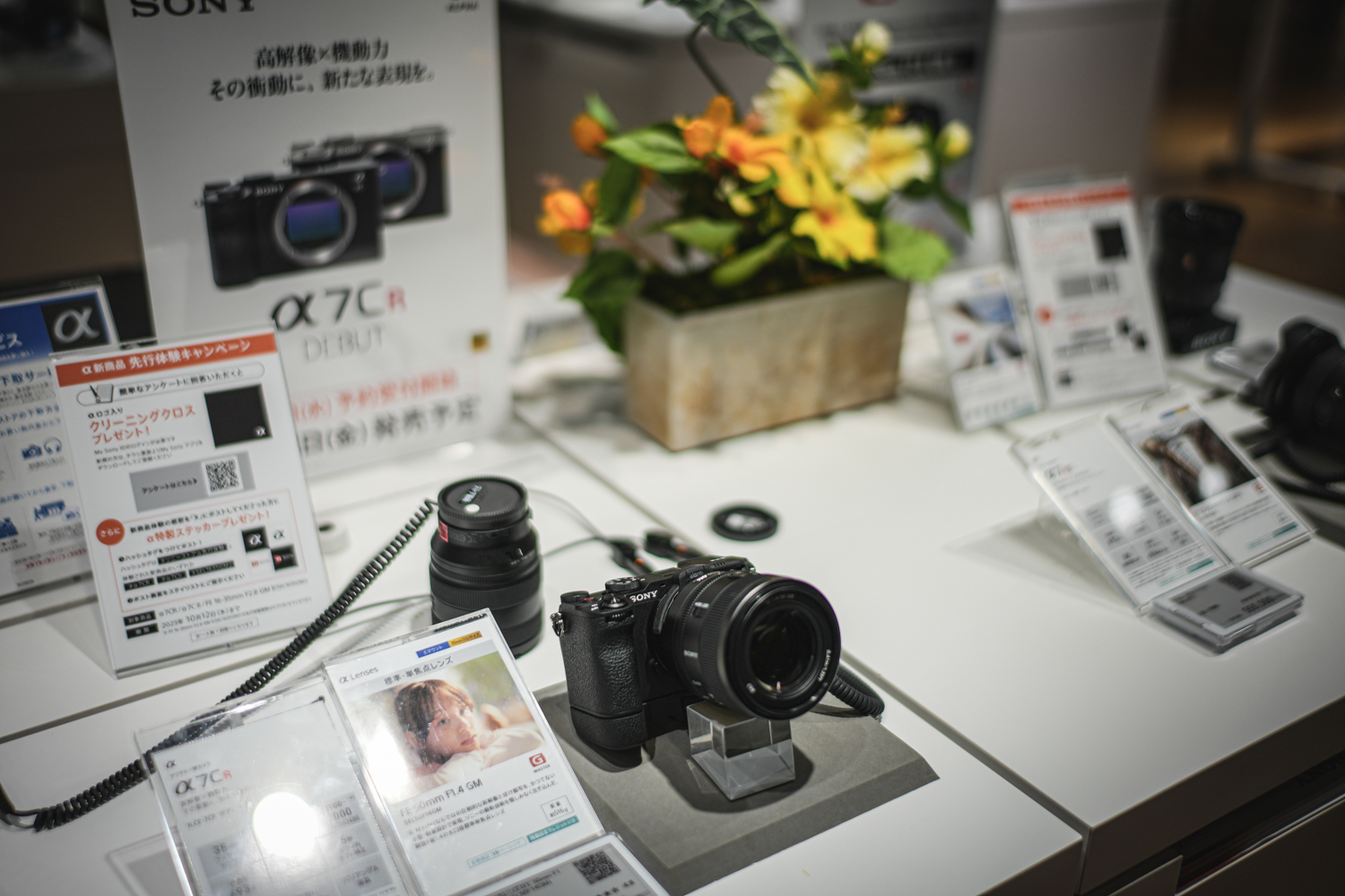 Amazon | カメラケース Lims リムズ SONY α7CR α7C II 専用