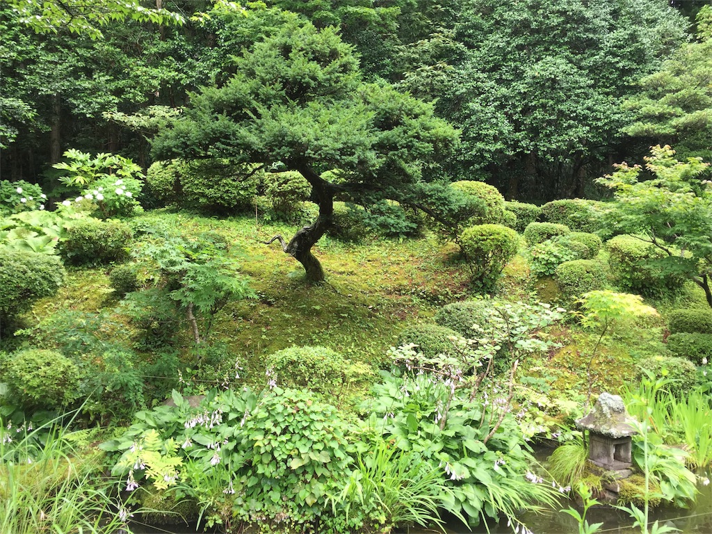 f:id:karryart:20180708125426j:image f:id:karryart:20180708125426j:image