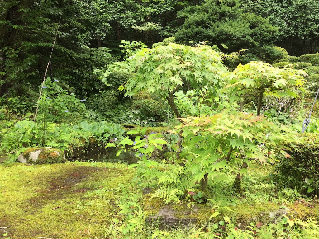 f:id:karryart:20180708125430j:image f:id:karryart:20180708125430j:image