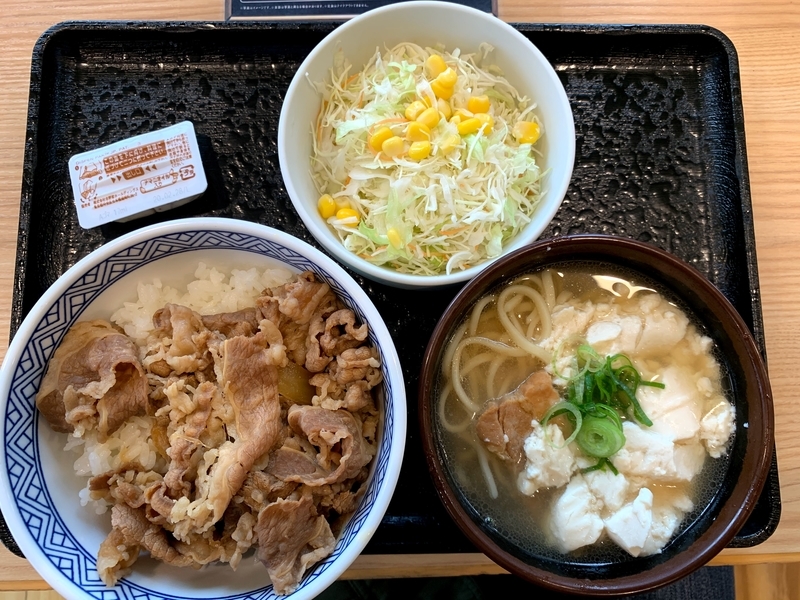 牛丼並盛とゆし豆腐そば、サラダのボリューム満点なセット写真