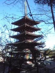 f:id:karsi:20100124133016j:image:right