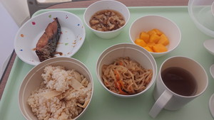 ここまではダイエット入院みたいな気持ちでした