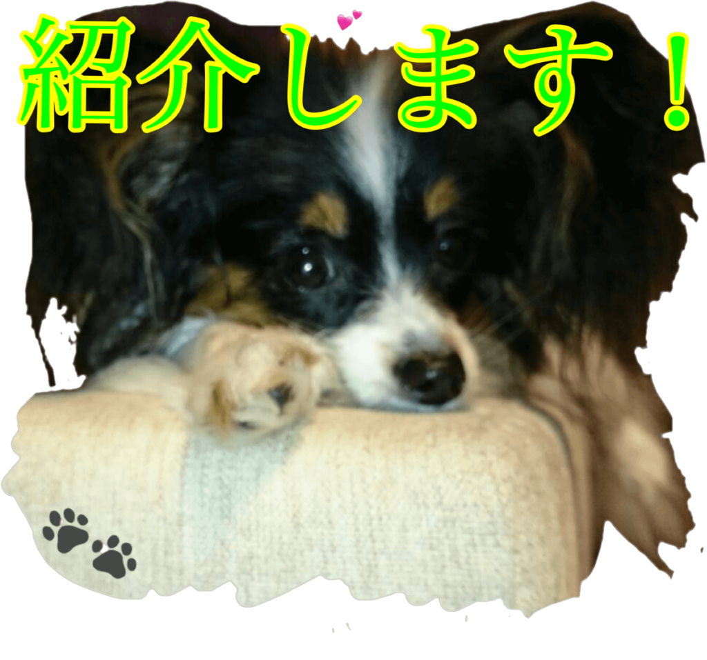 f:id:karu_cha:20190120152255p:plain f:id:karu_cha:20190120152255p:plain