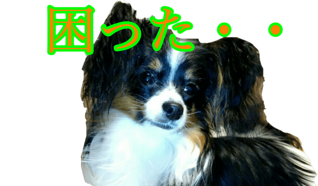 f:id:karu_cha:20190120152529p:plain