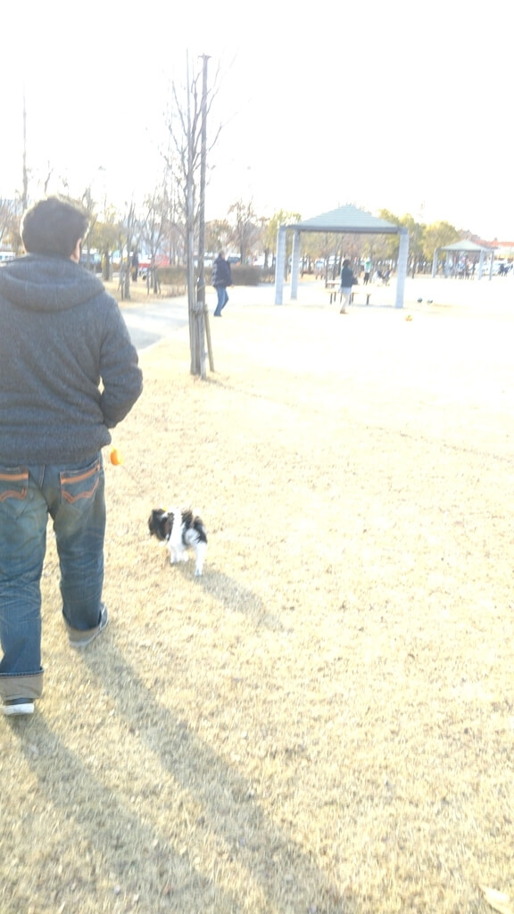 f:id:karu_cha:20190208182238j:plain f:id:karu_cha:20190208182238j:plain