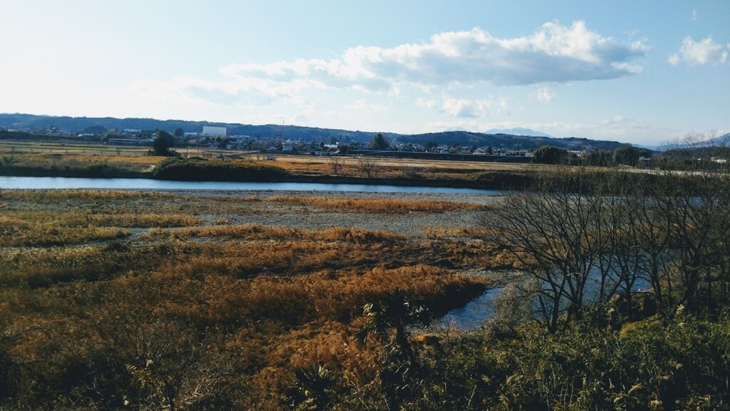 f:id:karu_cha:20190211095124j:plain f:id:karu_cha:20190211095124j:plain