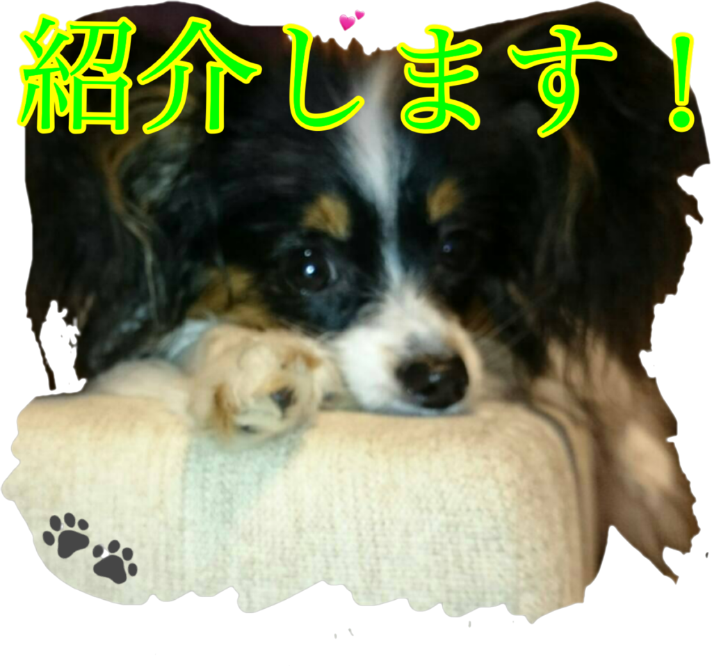 f:id:karu_cha:20190212194850p:plain f:id:karu_cha:20190212194850p:plain