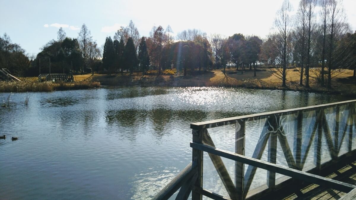 f:id:karu_cha:20190316162953j:plain f:id:karu_cha:20190316162953j:plain