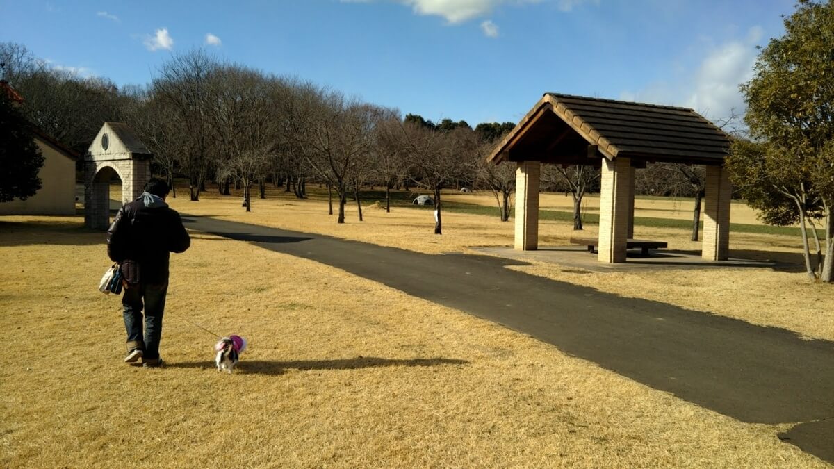 f:id:karu_cha:20190316163051j:plain f:id:karu_cha:20190316163051j:plain