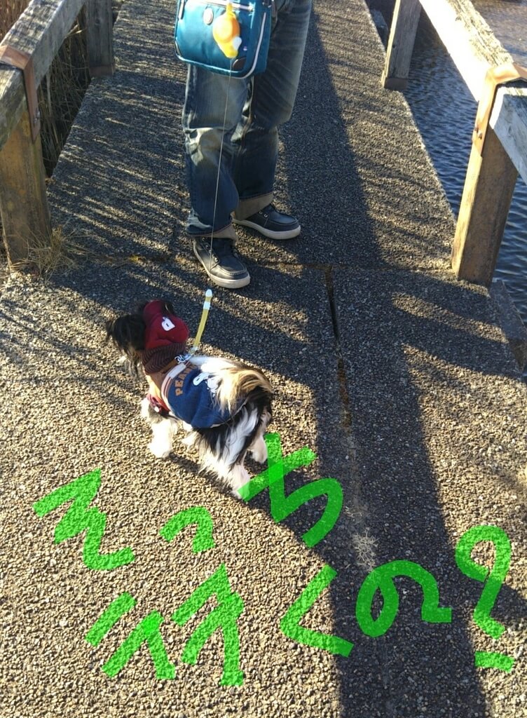 f:id:karu_cha:20190325190422j:plain f:id:karu_cha:20190325190422j:plain