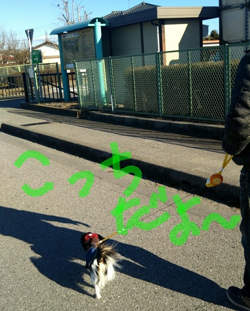 f:id:karu_cha:20190325190725j:plain f:id:karu_cha:20190325190725j:plain
