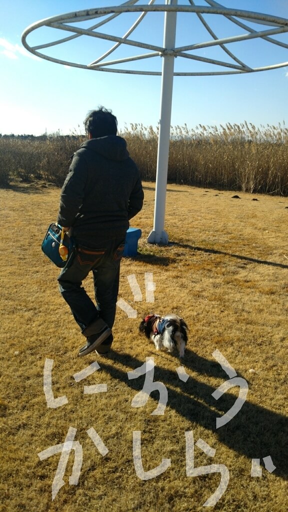f:id:karu_cha:20190325191257j:plain f:id:karu_cha:20190325191257j:plain
