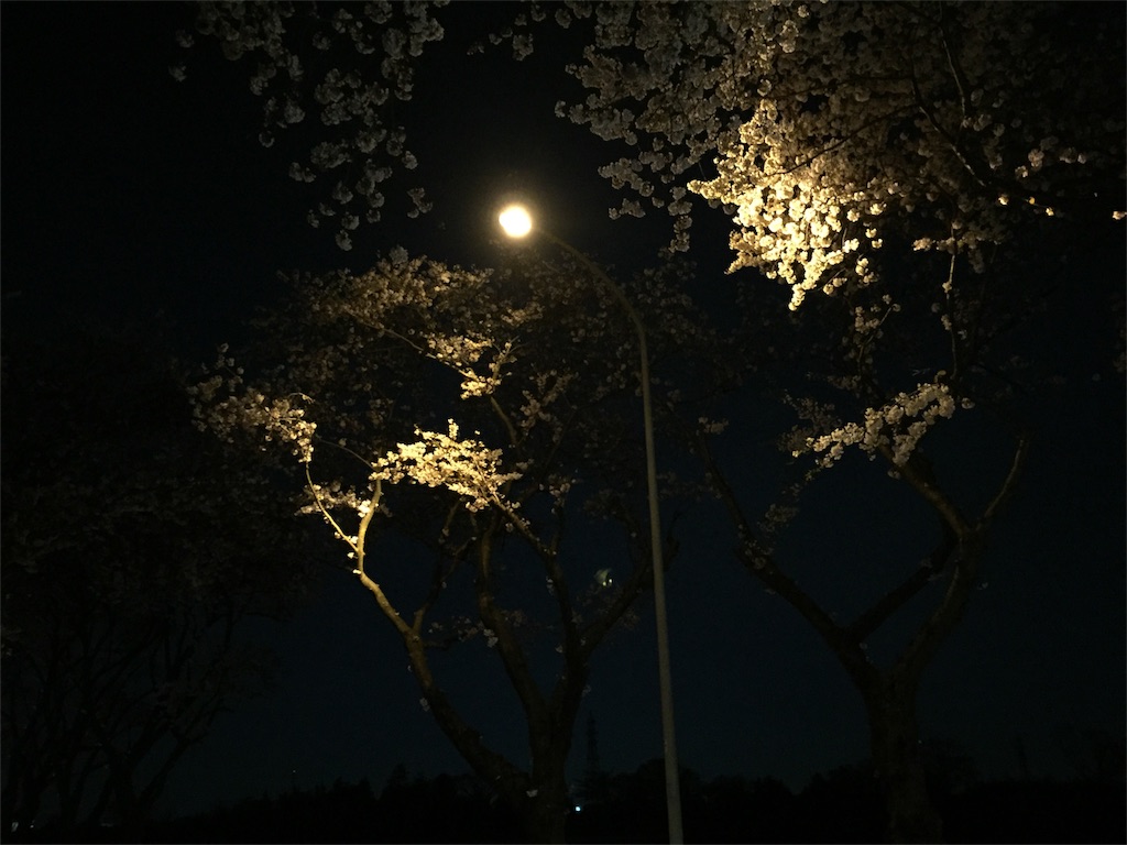 f:id:karuken15:20170411120409j:image