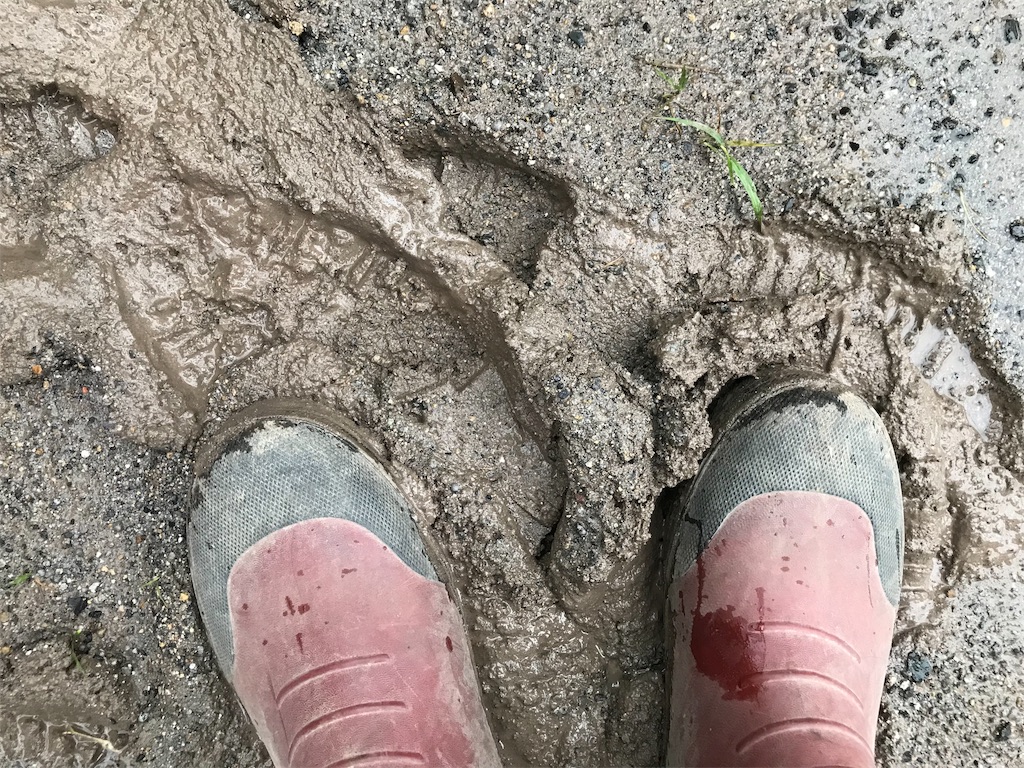 f:id:karuken15:20191117065848j:image