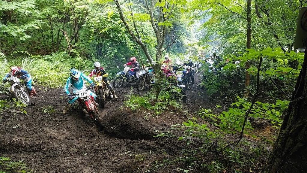 f:id:karuken15:20191117070719j:image