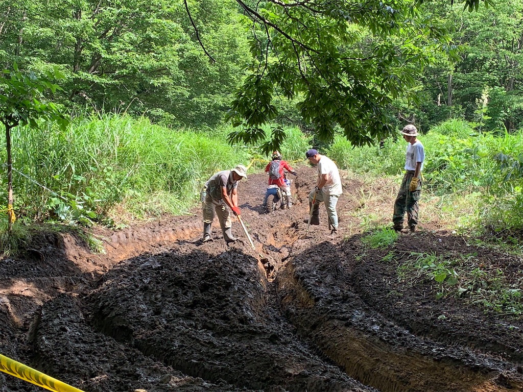 f:id:karuken15:20191117073739j:image