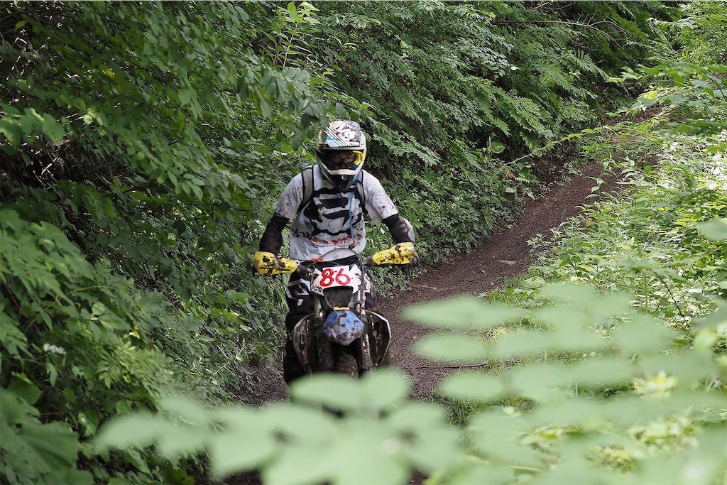 f:id:karuken15:20191117074256j:image