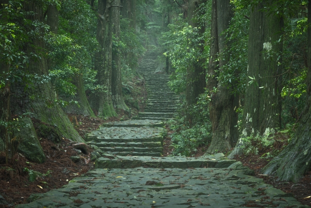 熊野古道 大門坂の新緑