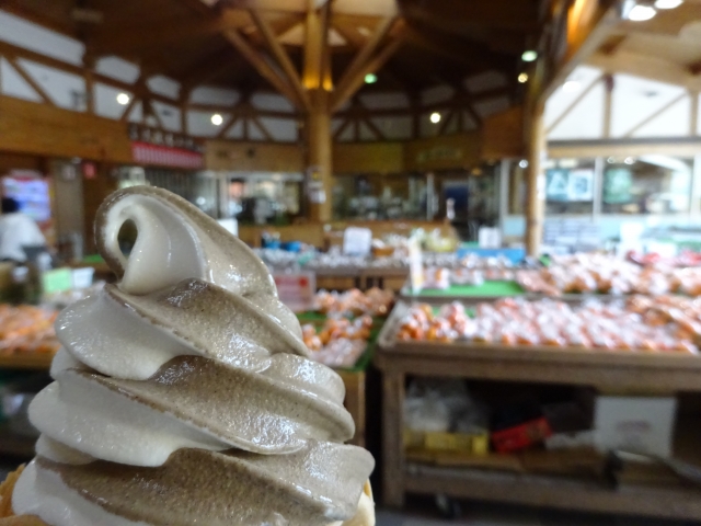 道の駅の物産館にて地元素材のソフトクリームを堪能