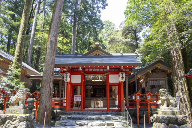 狛犬と椿岸神社の朱色の拝殿