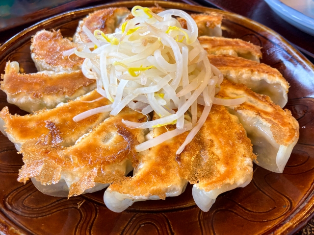 もやしが中央に盛られた浜松餃子