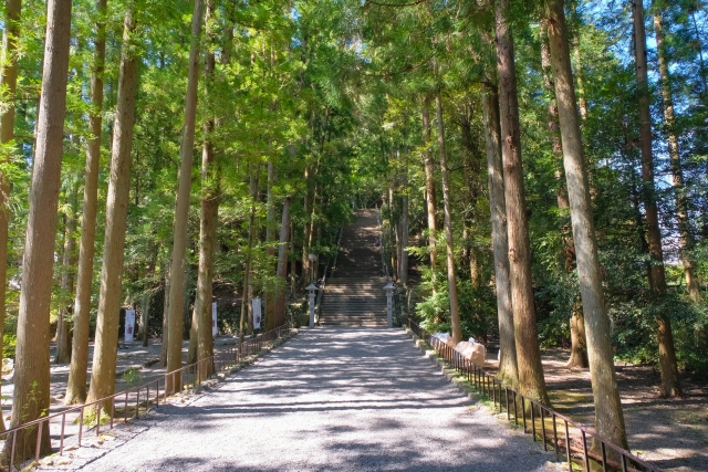 威厳溢れる熊野本宮大社参道