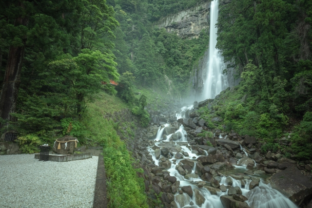 神々しさと癒しが共存する新緑の那智の滝