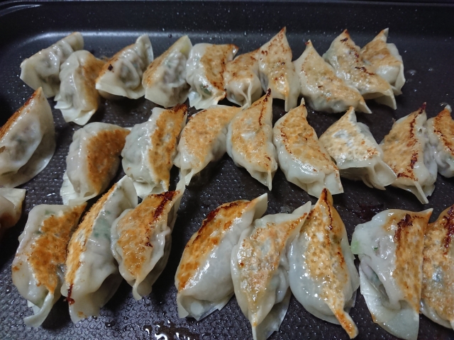 ホットプレートでの手作り焼き餃子