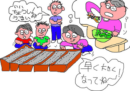 f:id:karupisupipi:20080612220816j:image f:id:karupisupipi:20080612220816j:image