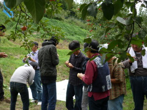 f:id:karupisupipi:20101011122430j:image:right