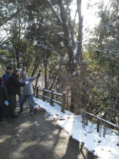 f:id:karupisupipi:20120125111712j:image