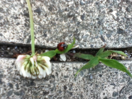 20120523110144