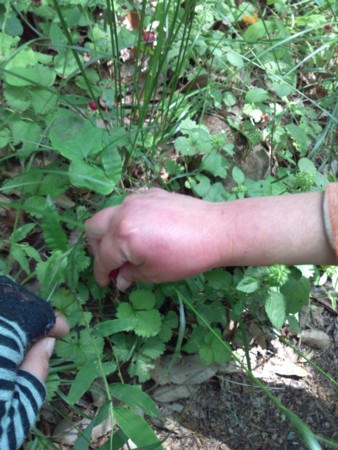 f:id:karupisupipi:20120601105413j:image:w360